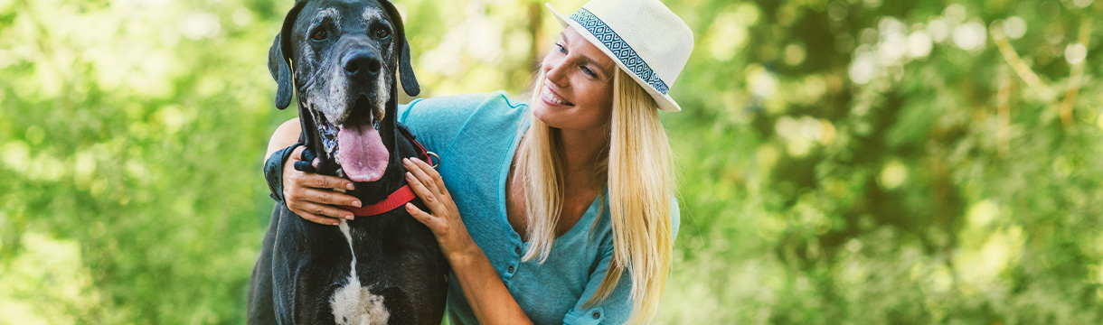 Erbkrankheiten bei Hunden - Rassedispositionen